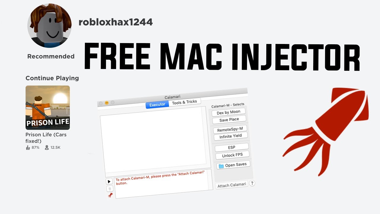 mac injector roblox
